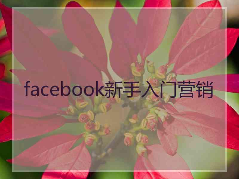 facebook新手入门营销