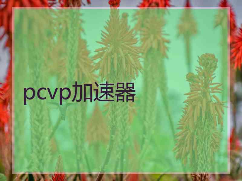 pcvp加速器