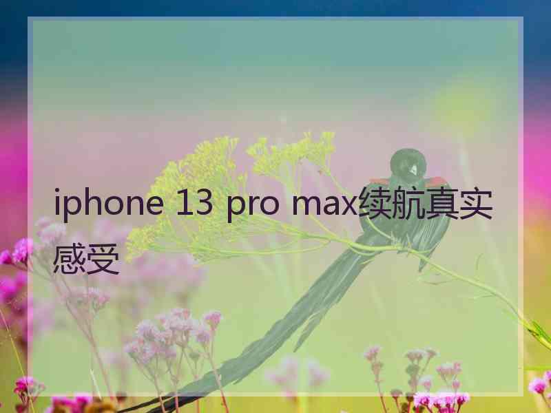 iphone 13 pro max续航真实感受