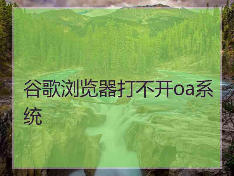 谷歌浏览器打不开oa系统