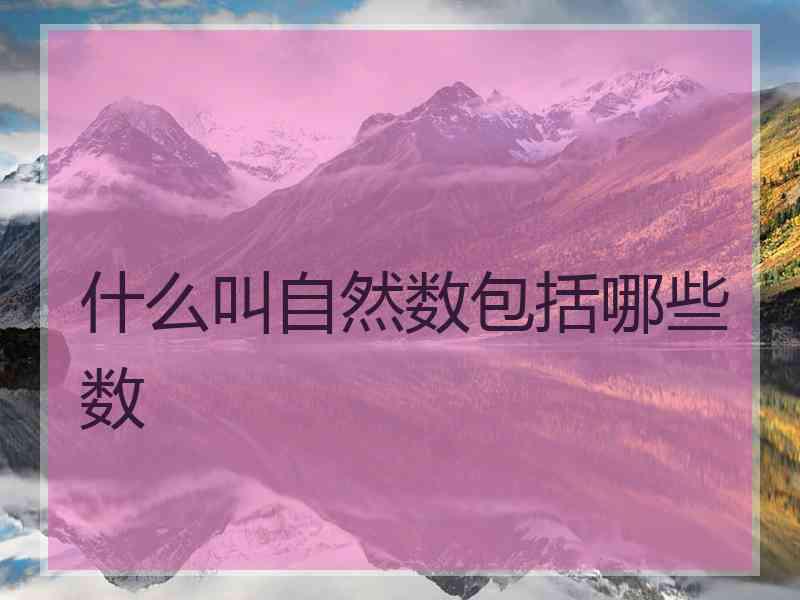 什么叫自然数包括哪些数