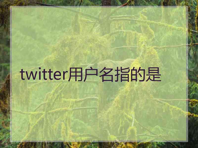 twitter用户名指的是