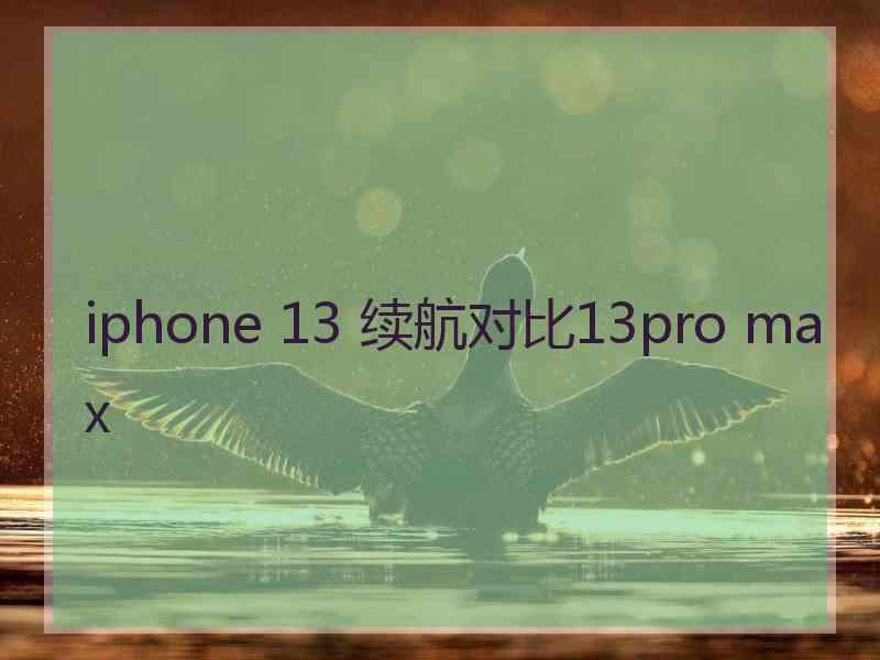 iphone 13 续航对比13pro max