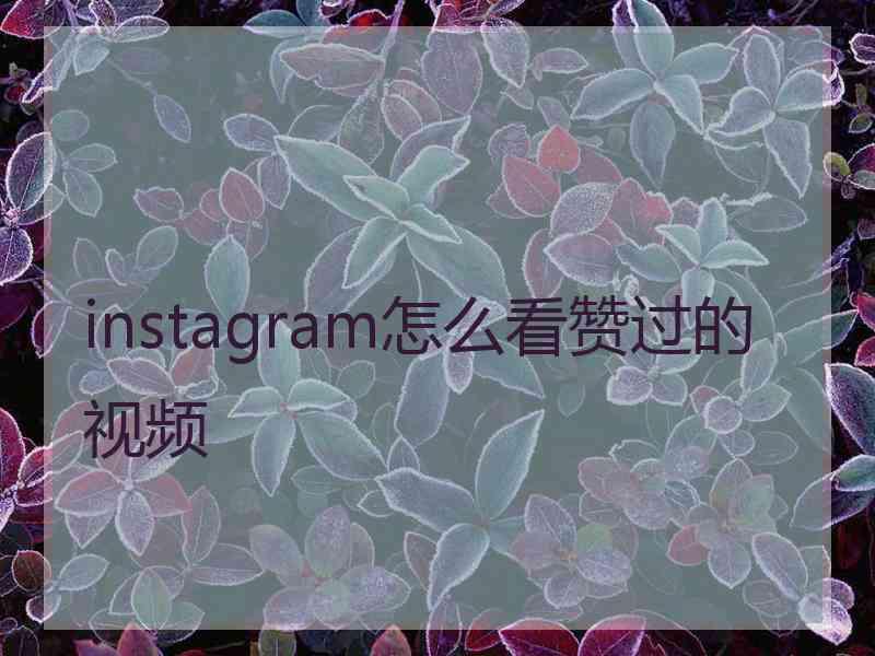 instagram怎么看赞过的视频