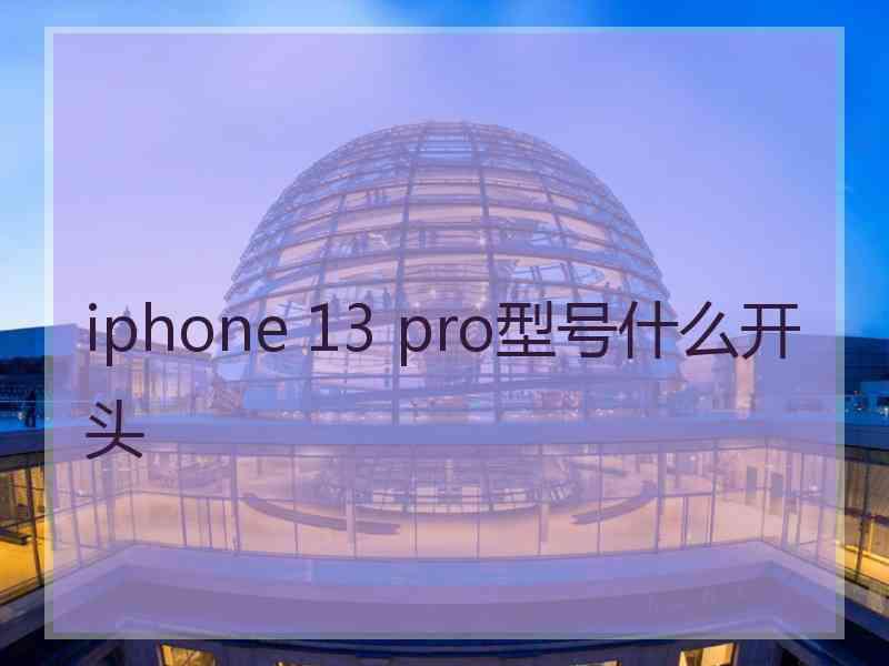 iphone 13 pro型号什么开头