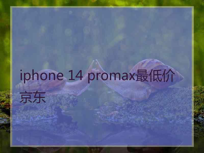 iphone 14 promax最低价京东