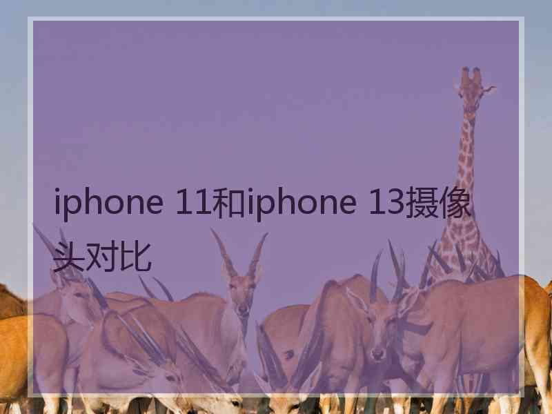 iphone 11和iphone 13摄像头对比