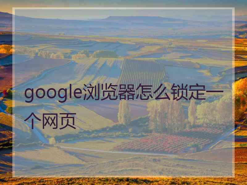 google浏览器怎么锁定一个网页