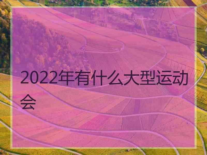 2022年有什么大型运动会