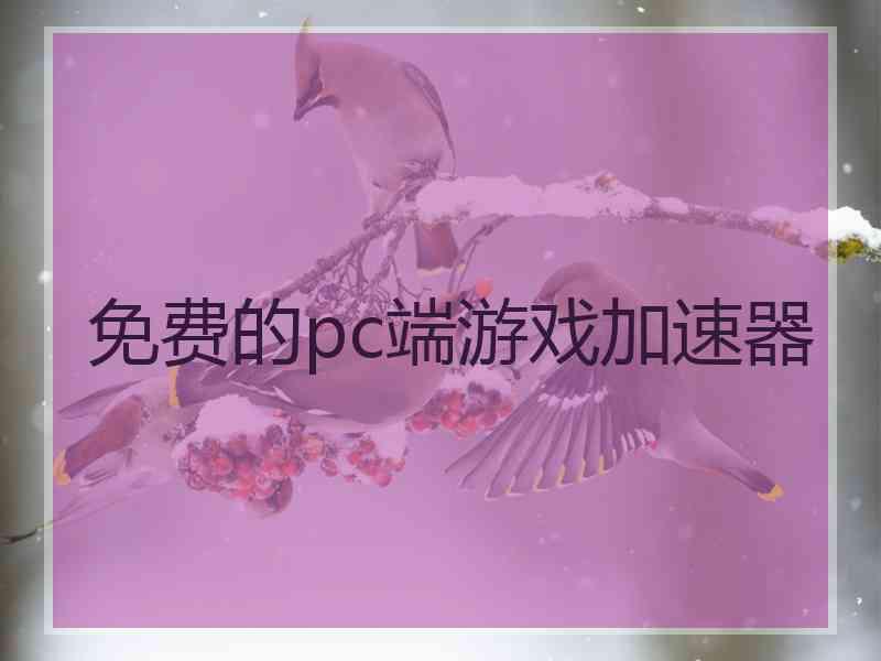 免费的pc端游戏加速器