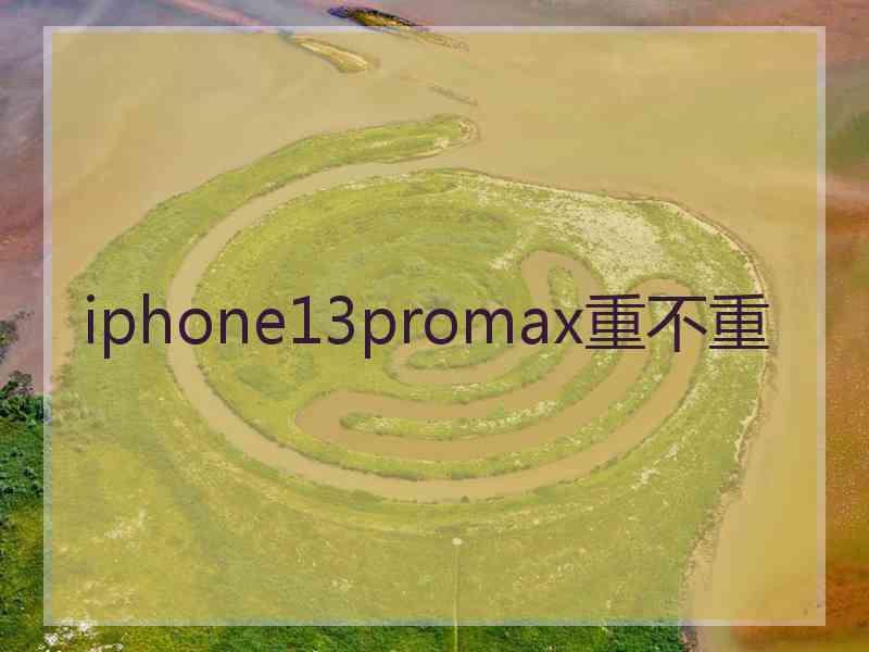 iphone13promax重不重