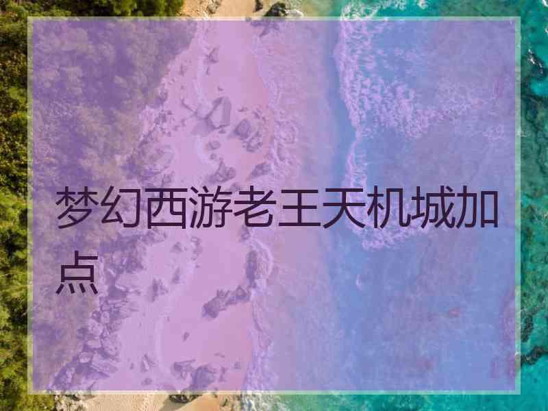 梦幻西游老王天机城加点