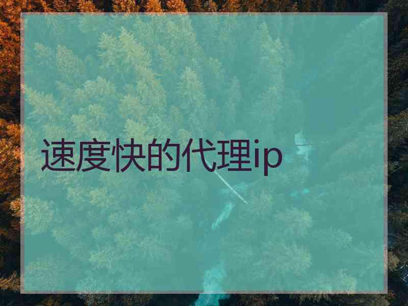 速度快的代理ip