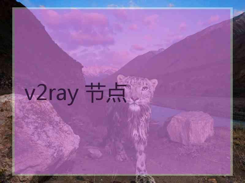 v2ray 节点