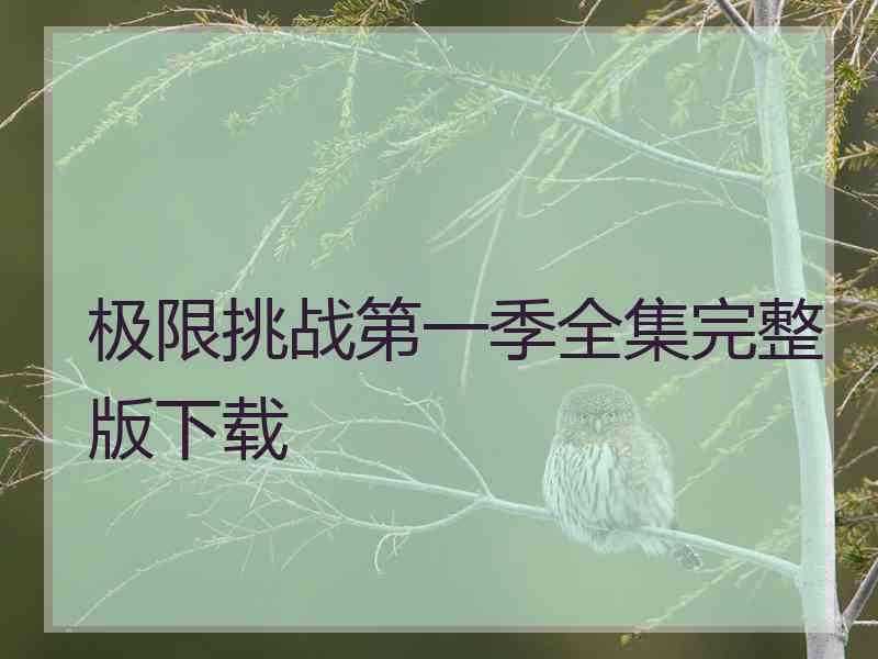 极限挑战第一季全集完整版下载