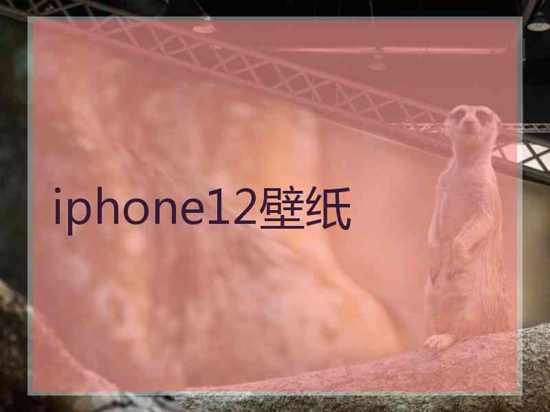 iphone12壁纸