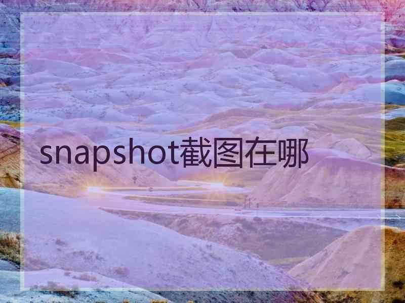 snapshot截图在哪