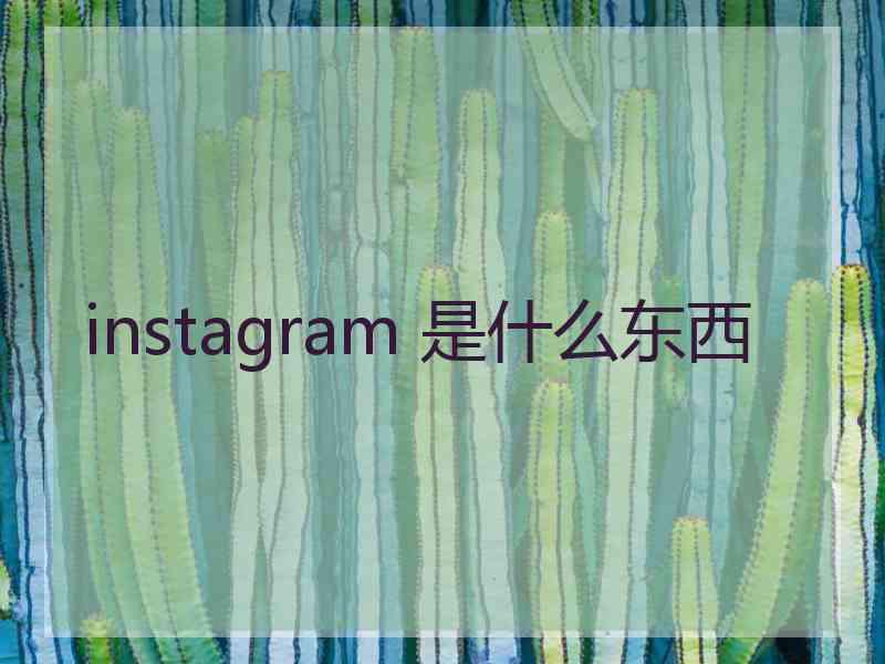 instagram 是什么东西