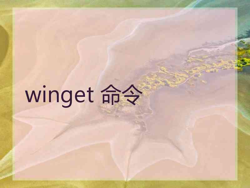 winget 命令