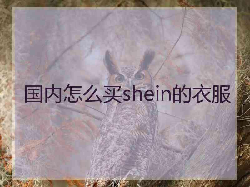 国内怎么买shein的衣服