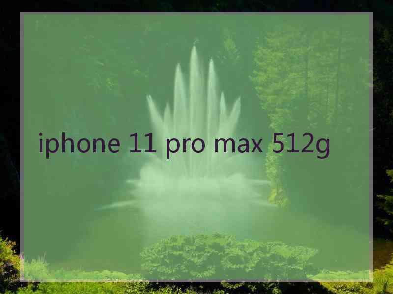 iphone 11 pro max 512g