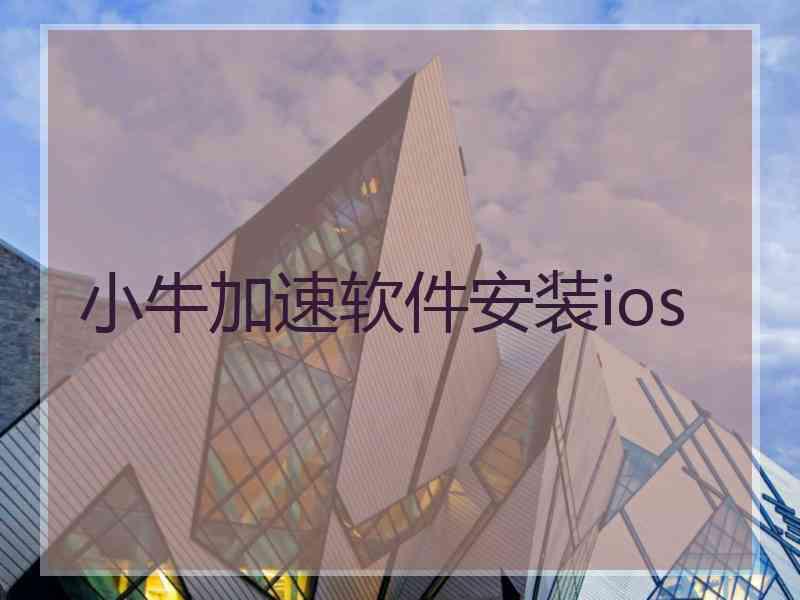 小牛加速软件安装ios