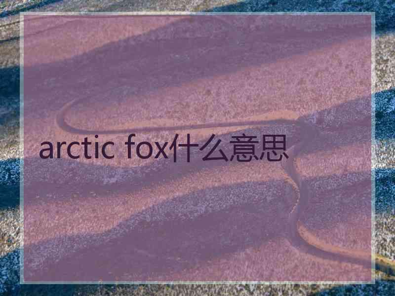 arctic fox什么意思