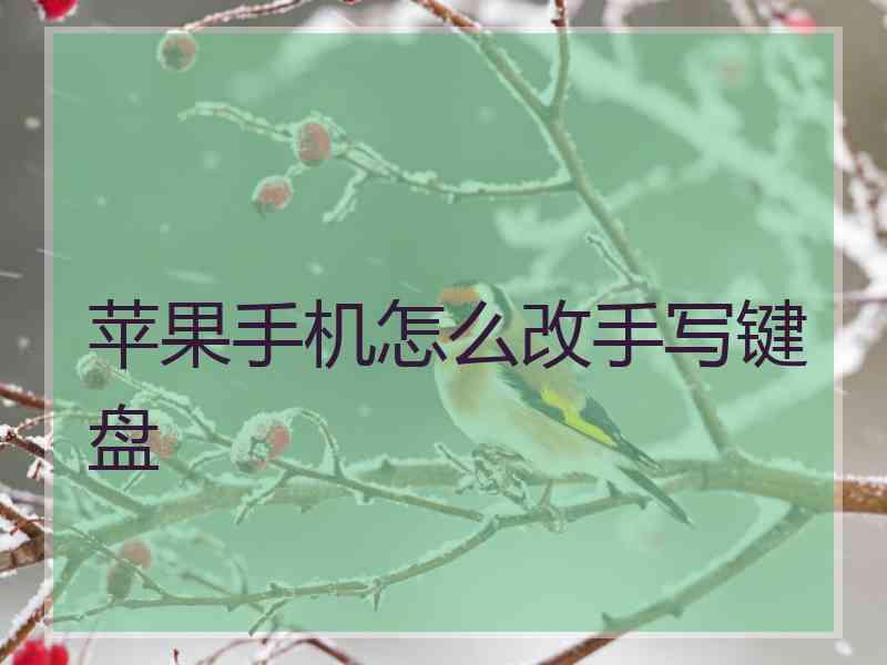 苹果手机怎么改手写键盘