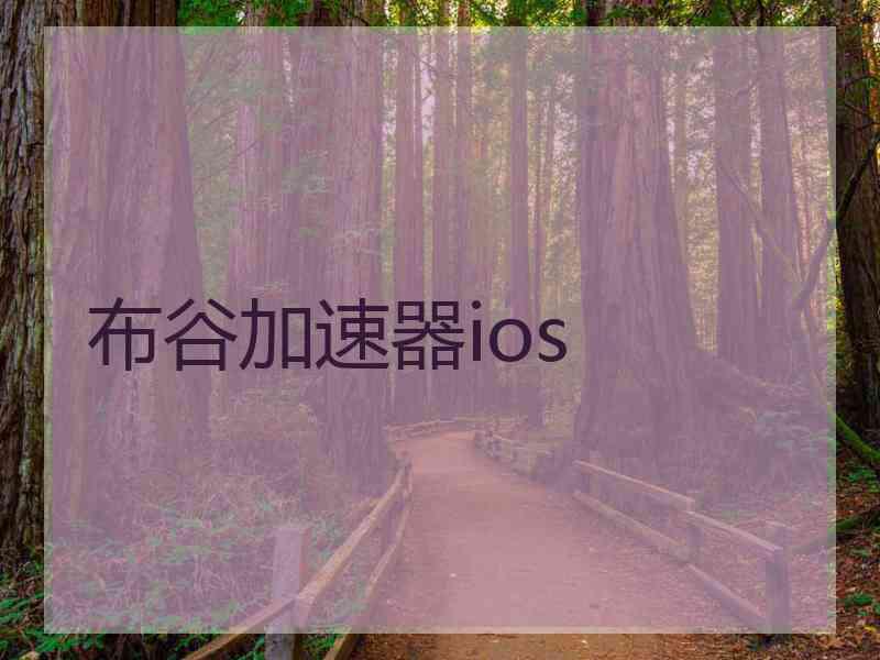 布谷加速器ios