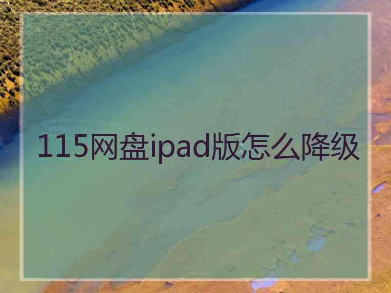 115网盘ipad版怎么降级