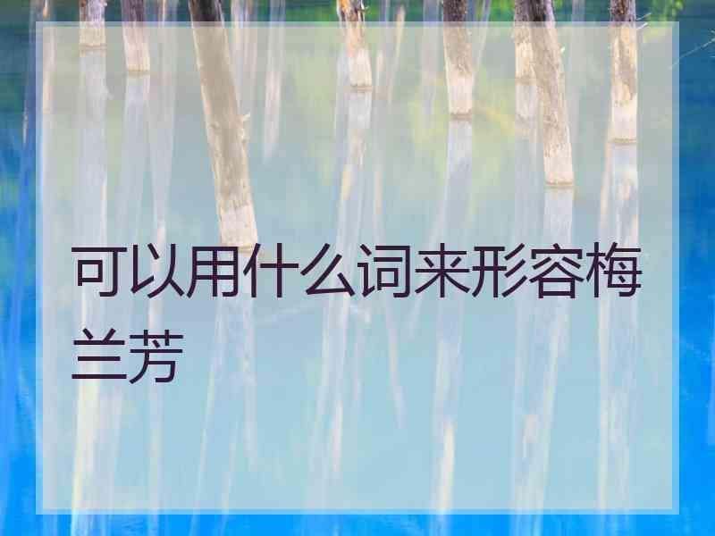 可以用什么词来形容梅兰芳