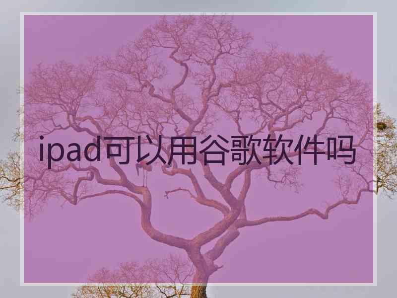 ipad可以用谷歌软件吗