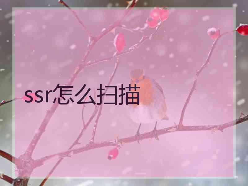 ssr怎么扫描