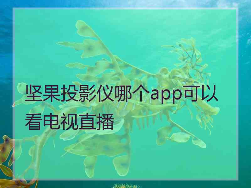 坚果投影仪哪个app可以看电视直播