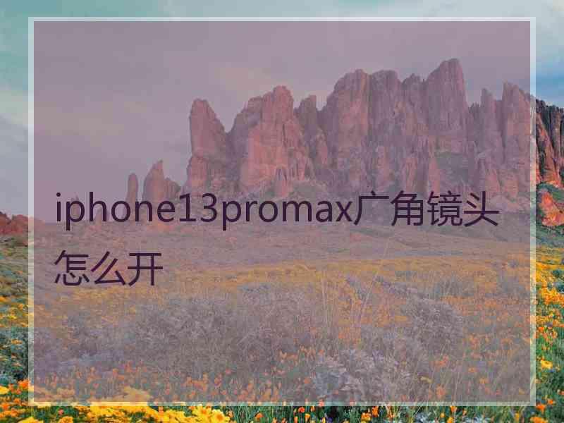 iphone13promax广角镜头怎么开