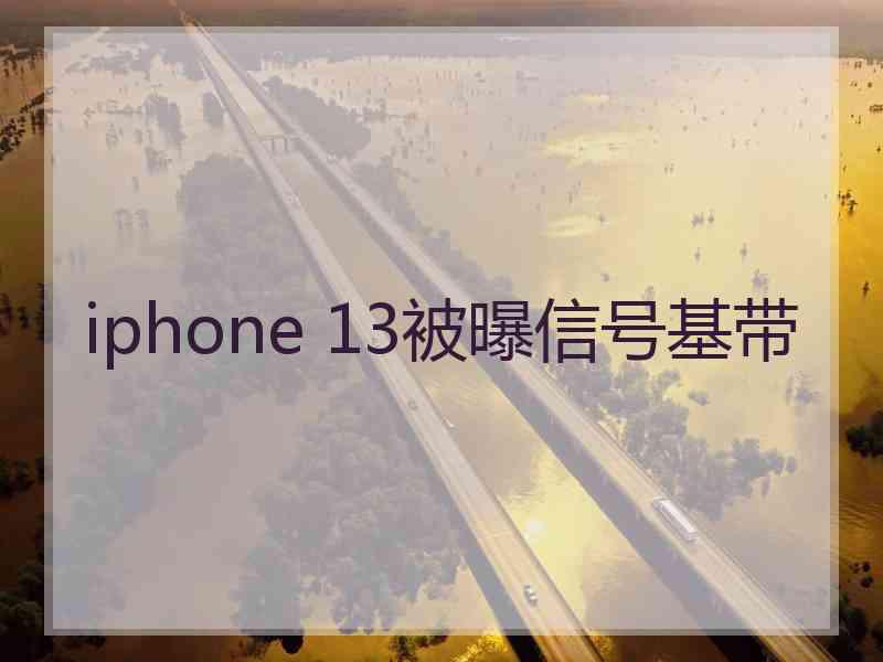 iphone 13被曝信号基带