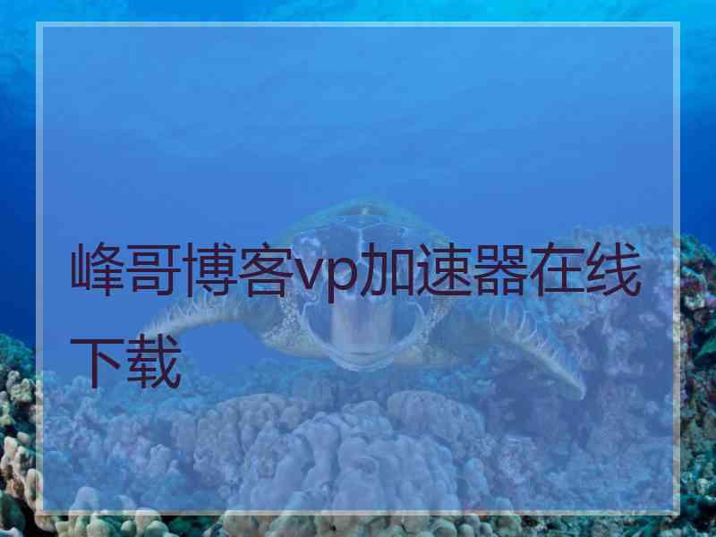 峰哥博客vp加速器在线下载