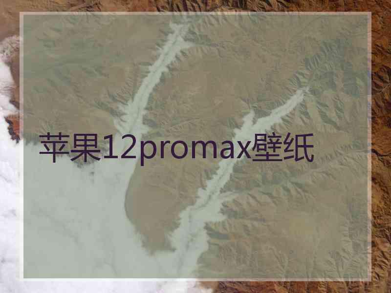 苹果12promax壁纸