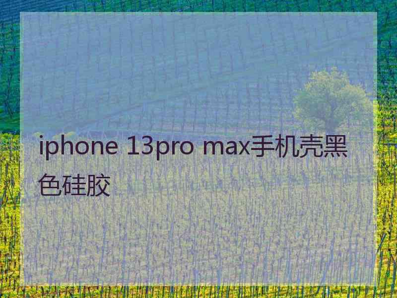 iphone 13pro max手机壳黑色硅胶