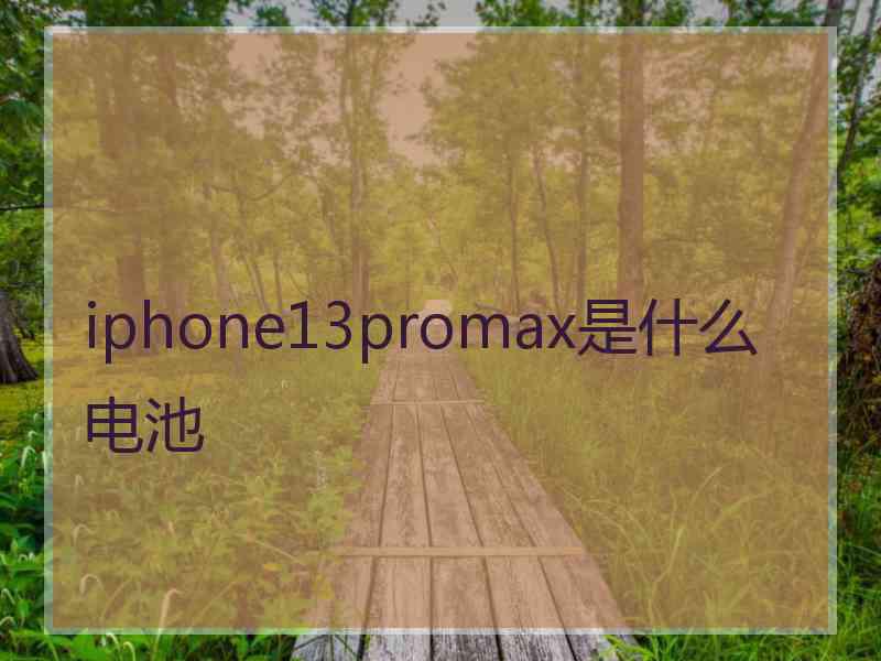 iphone13promax是什么电池