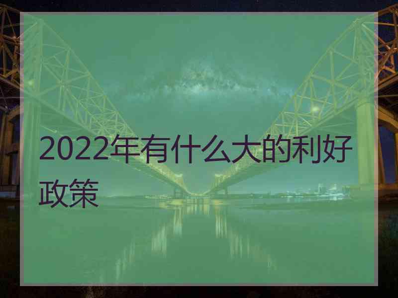 2022年有什么大的利好政策