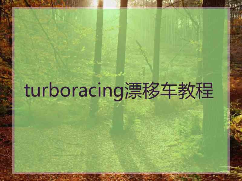 turboracing漂移车教程