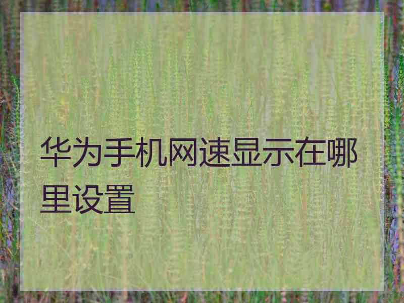 华为手机网速显示在哪里设置