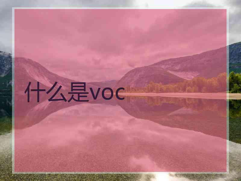 什么是voc