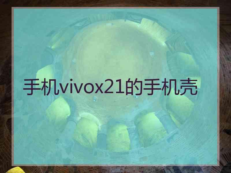 手机vivox21的手机壳