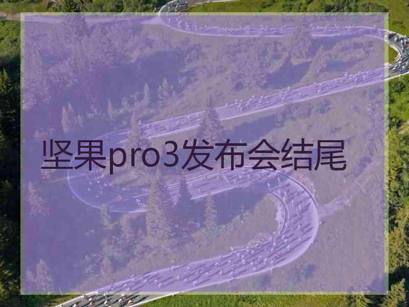 坚果pro3发布会结尾