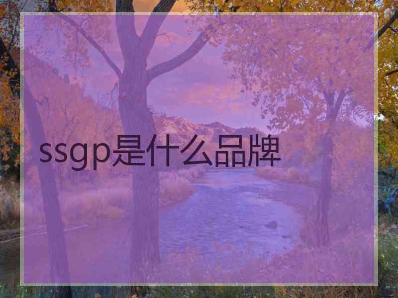 ssgp是什么品牌