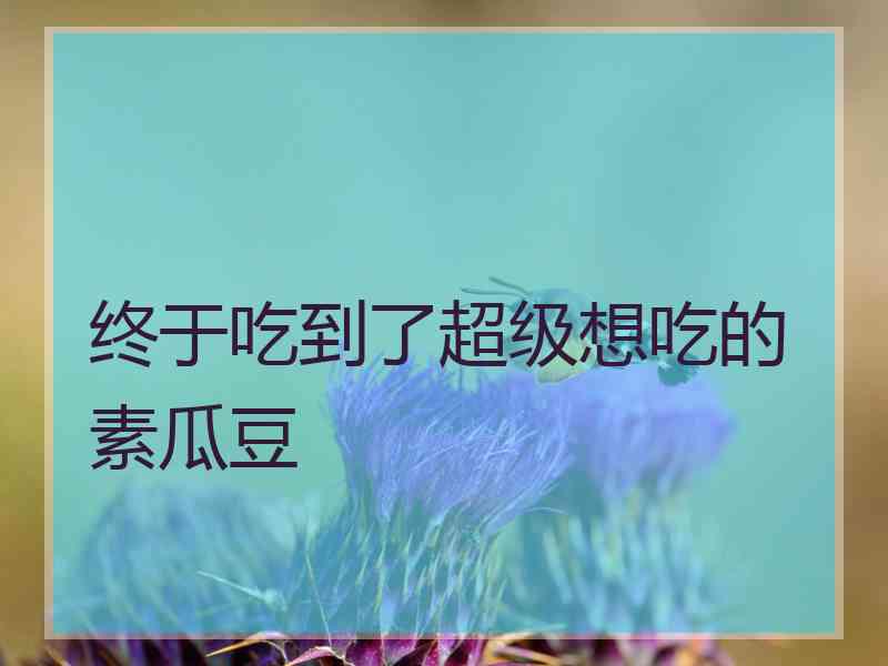 终于吃到了超级想吃的素瓜豆