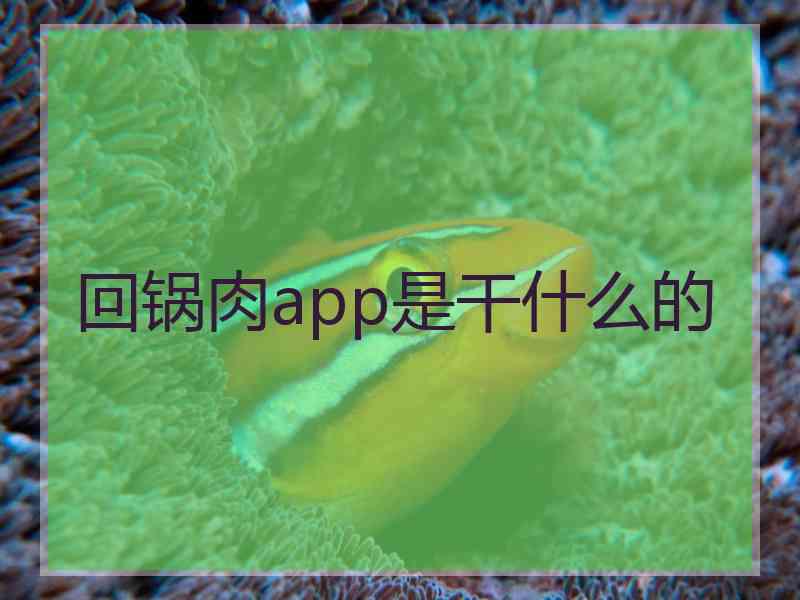 回锅肉app是干什么的