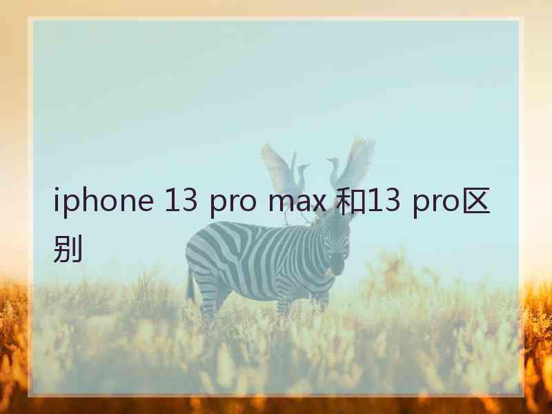 iphone 13 pro max 和13 pro区别